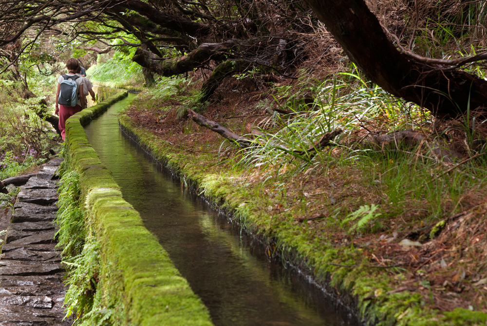 426_Madera_Levada das 25 Fontes.jpg